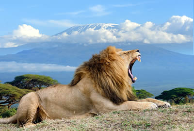 Kenya Adventure Safaris