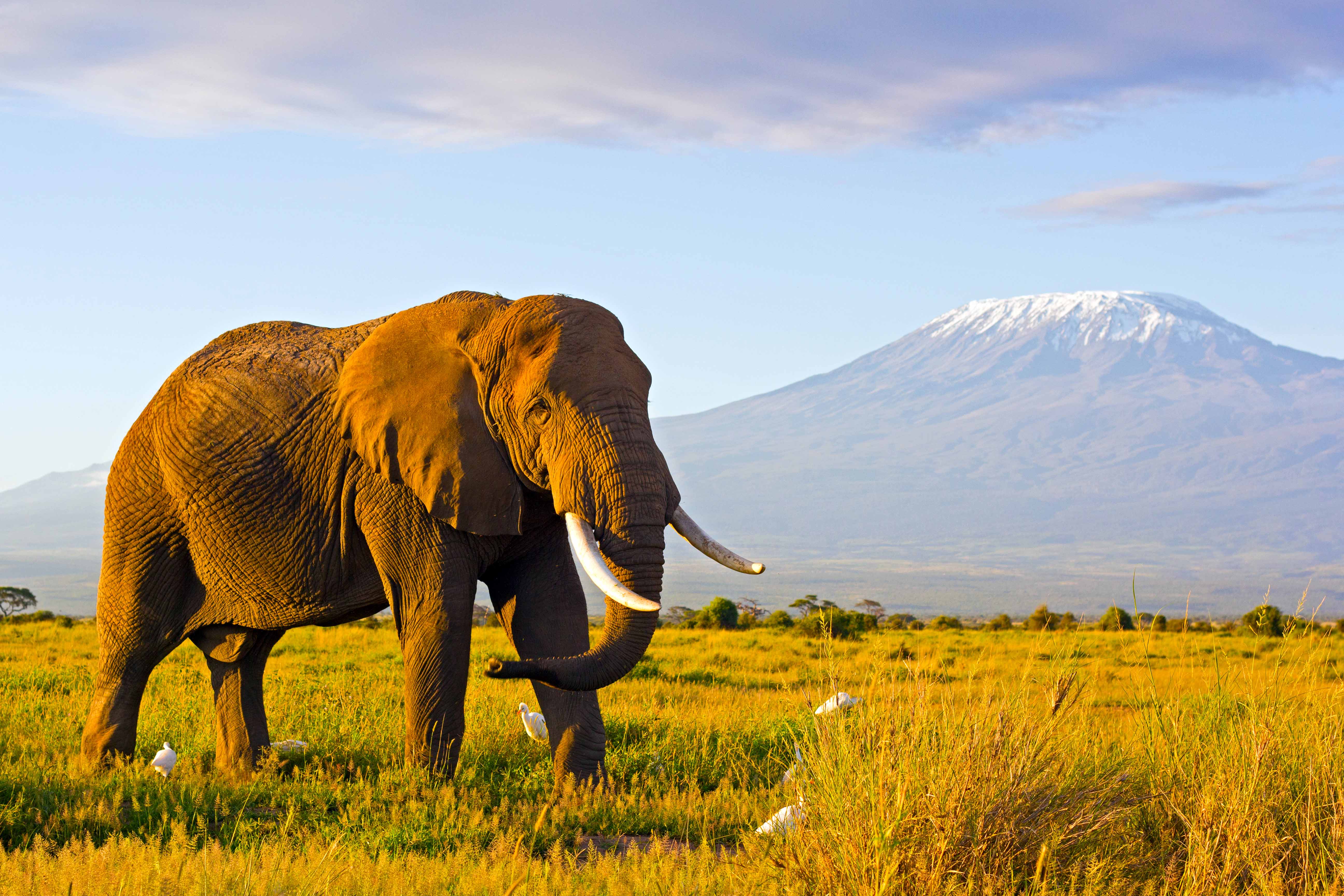 Kenya Adventure Safaris