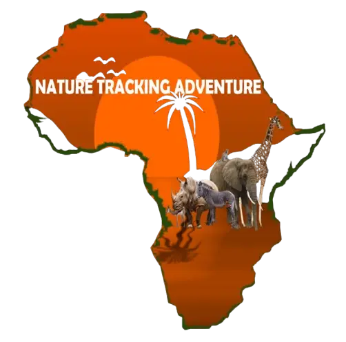 Naturetrackingadventure