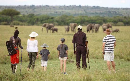 5 Days Maasai Mara, Lake Nakuru and Lake Naivasha Safari